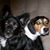 Cindy Slaton's profile image