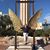 Caeli Twark's profile image