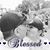 Deanna Sinquefield Lewis's profile image