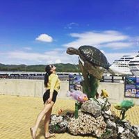 Victoria Wallace Verdin's profile image