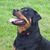 Bob Coleman's profile image