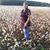 Marvolene Milam Holloway's profile image