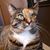 Judy Duggan's profile image