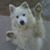 Debbie Walton's profile image
