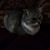 Jackie Butterworth's profile image
