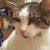 Saundra Wade's profile image