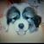 Karyl Wietor Gash's profile image