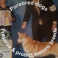 Anna Townsend Wyatt's profile image