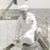 Helen Watson Kern's profile image