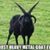 Kelly Brown's profile image