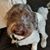 Glenn Miller's profile image
