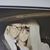 Essi Bussey Tusinger's profile image