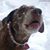 Pamela Beaverson's profile image