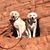 Becky Sievers's profile image