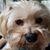 Ann Bauer's profile image