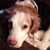 Pamela Brown Nyce's profile image