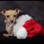 Stephanie Devener's profile image