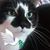 Janis Haynes's profile image