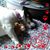 Anita Culler's profile image