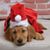 Ruth Ellen Snyder's profile image