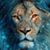 Tom Brandon's profile image