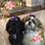Sandi Fincke Pope's profile image