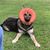Shannon Hoskins's profile image