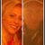BryanAnd Lisa Stevens's profile image