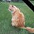 Shelley Marks's profile image