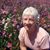 Carol Allen's profile image
