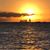 Debra King Gosselin's profile image
