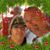 Kimberly Lowrance's profile image