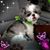 Jamie Beasley's profile image