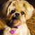 Karen Pugh's profile image