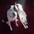 Sue Molitor's profile image
