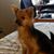 Annie Vrooman's profile image