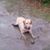 Jeff Keenom's profile image