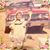 Kathy Wooten Stoller's profile image