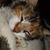 Trish Wright's profile image