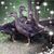 Darwin Dolley's profile image