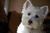 Elizabeth B.'s profile image