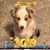 Bruce Sweeney's profile image