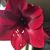 Jo Finley Wisor's profile image