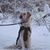 Elly Organiscak's profile image