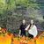 Carolyn O'Keefe Kimmey's profile image
