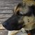 Gary Lee Wiesner Sr.'s profile image
