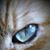 Elizabeth Carlson's profile image