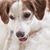 Misee Harris's profile image