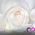 Lorena Bacon's profile image