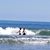 Tracey Mendenhall's profile image